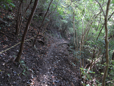20131116hike (250)